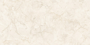 Керамогранит NT Ceramic Stone Almond Endless арт. NTT99523C (60x120) матовый, карвинг